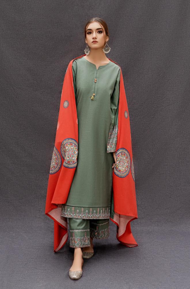 Sleeves Heavy Embroidered Suit