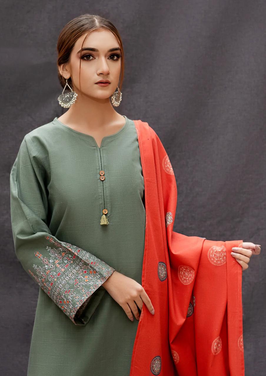 Sleeves Heavy Embroidered Suit