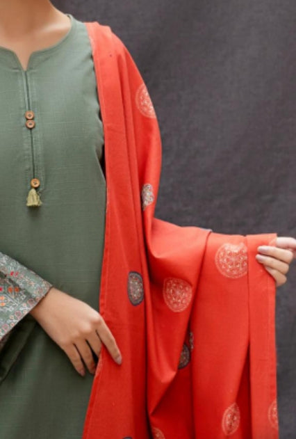 Sleeves Heavy Embroidered Suit