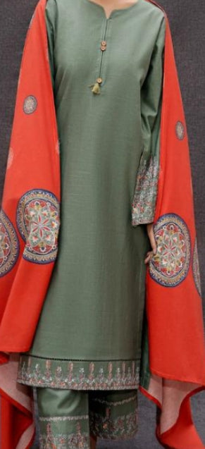 Sleeves Heavy Embroidered Suit
